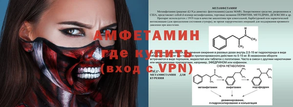 шишки Ладушкин