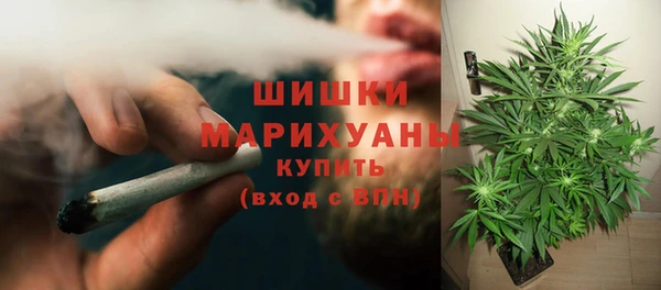 дживик Лабытнанги