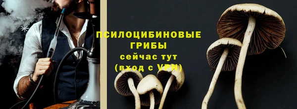 шишки Ладушкин