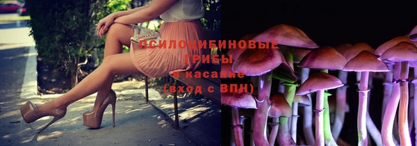 дживик Лабытнанги