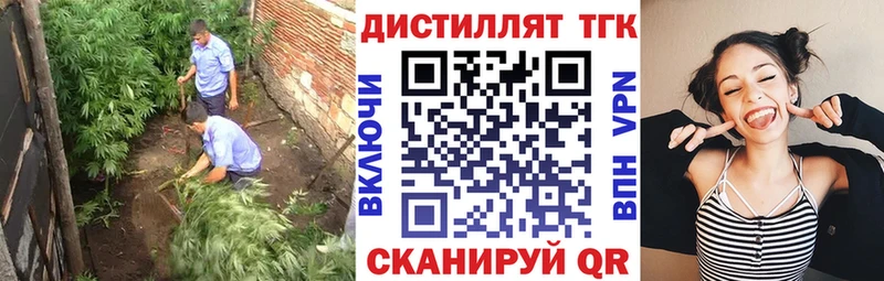 ссылка на мегу вход  продажа наркотиков  Семёнов  Дистиллят ТГК вейп 