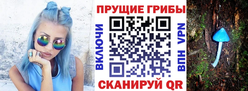 Галлюциногенные грибы Psilocybine cubensis  Семёнов 
